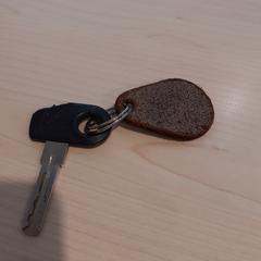 Sleuteltje, zgłoszono przez Gemeente Wijk bij Duurstede przy użyciu iLost