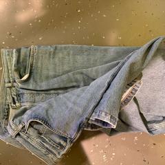 Texans WASH BLUE, segons ha informat Room Mate Bruno mitjançant iLost