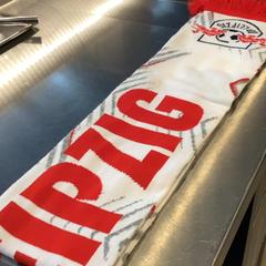 スカーフ RB Leipzig がiLostで MEININGER Hotel Leipzig Hauptbahnhof によって報告されました