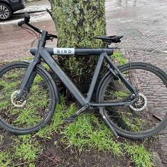 Fiets, como reportado ao iLost