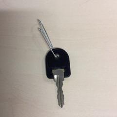 Sleutel، كما تم الإبلاغ عنه بواسطة Haaglanden Medisch Centrum عبر iLost