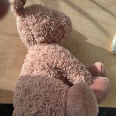 Peluix gevonden AH, segons ha informat Haaglanden Medisch Centrum mitjançant iLost