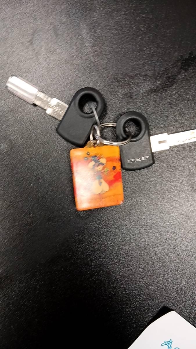 Key Fiets sleutel