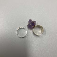 Rings Sliver, as reported by Ramada by Wyndham Amsterdam Airport Schiphol using iLost