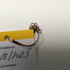 Juwelen Armband, jak nahlášeno Centraal magazijn pomocí iLost