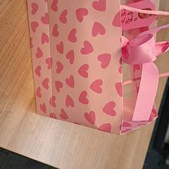 Bolsa de papel Roze met hartjes, ha sido reportado por Connexxion Noord Holland Noord Hoorn con iLost