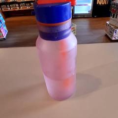 Trinkflasche Roze, gemeldet von Familiepark Drievliet über iLost