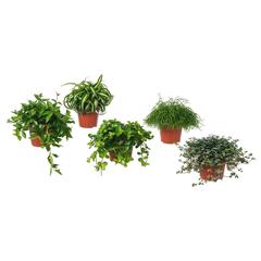 Producto IKEA, ha sido reportado por IKEA Gent con iLost