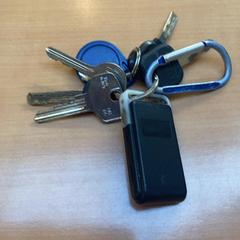 İLost kullanarak Gemeente Zutphen tarafından bildirildiği gibi Anahtarlık