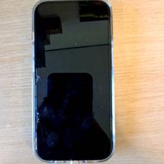 Iphone, segons ha informat Keukenhof mitjançant iLost