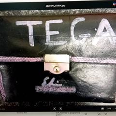 Portefeuille - Tega, a été signalé par Centraal magazijn utilisant iLost