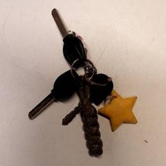 Nøkler, som rapportert av Qbuzz ZHN ved bruk av iLost