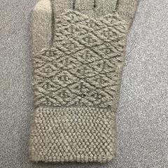 Rukavice graugrün, jak nahlášeno Schönbrunn "Group Center" pomocí iLost