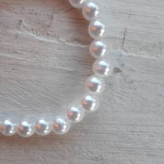 Armbånd Wit, som rapportert av DierenPark Amersfoort ved bruk av iLost