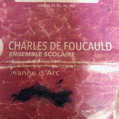 Zápisník de correspondance, ako bolo nahlásené TCL pomocou iLost