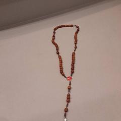 Halsband, rapporterat av Van der Valk Hotel Schiphol med iLost