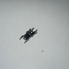Beetle Iron, silver, zgłoszono przez TU/e - Receptie Atlas przy użyciu iLost