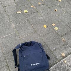 Blauwe rugtas naam tristan in een boek, as reported to iLost