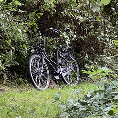 Elektrische fiets, gerapporteerd met iLost