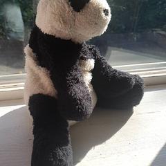 كنوفل، كما تم الإبلاغ عنه بواسطة DierenPark Amersfoort عبر iLost