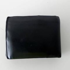 Portafoglio - Honings, come riportato da Centraal magazijn utilizzando iLost