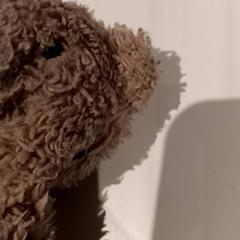 꼭 껴안고 싶은 장난감, iLost를 사용하여 De Efteling에 보고됨