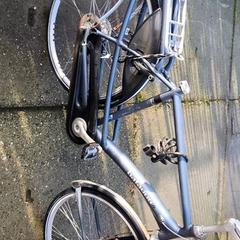 Bicicleta masculina Batavus, segons ha informat Stadswerk072 mitjançant iLost