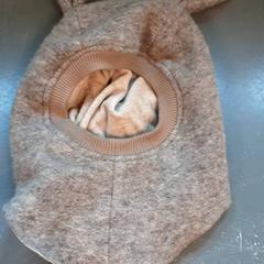 Muts, zoals gemeld door Diergaarde Blijdorp met iLost