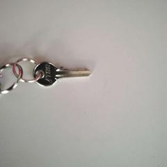 Nøkkel, som rapportert av Twisto ved bruk av iLost