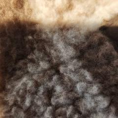 Vest gilet, zoals gemeld door De Tovertuin met iLost