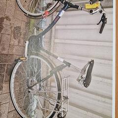Damenrad, gemeldet von Gemeente Roermond über iLost