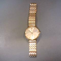 İLost kullanarak SnowWorld Landgraaf tarafından bildirildiği gibi İzlemek