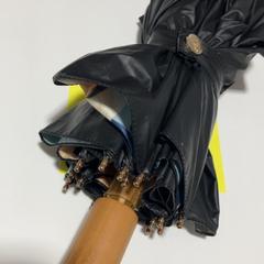 Folding umbrella, as reported by TU/e - Receptie Atlas using iLost