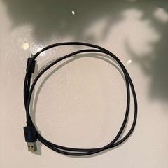 Adapter BLACK, rapporterat av Room Mate Bruno med iLost