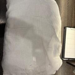 Almohadón, ha sido reportado por WestCord Hotel Eindhoven con iLost