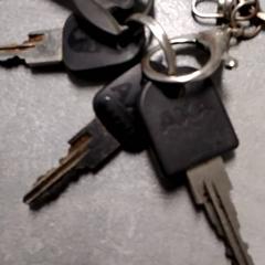 Keys, as reported by Arriva Friesland / Groningen using iLost