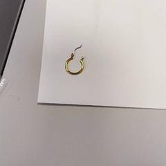 Náušnice Messing, jak nahlášeno Vrije Universiteit Amsterdam pomocí iLost