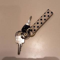 Keys Sleutels, as reported by LUMC using iLost