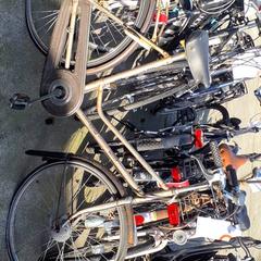 Rower męski Gazelle, zgłoszono przez Stadswerk072 przy użyciu iLost