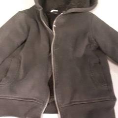 İLost kullanarak Diergaarde Blijdorp tarafından bildirildiği gibi Yelek