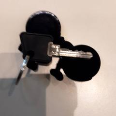 Gorputza beroagoa & Bizikletaren giltza Geen, gisa salatu by LUMC iLost erabiliz