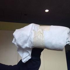 Tshirt, as reported by MEININGER Hotel Lyon Centre Berthelot using iLost