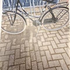 Damesfiets, segons ha informat Gemeente Roermond mitjançant iLost