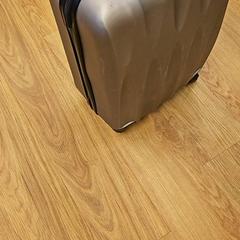 Valise, a été signalé par GVB utilisant iLost