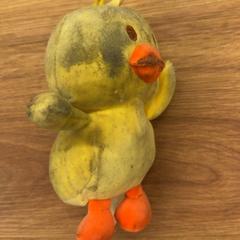 Knuffel, zoals gemeld door Het Amsterdamse Winterparadijs met iLost