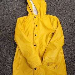 Jacke Geel, gemeldet von DierenPark Amersfoort über iLost