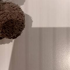 Mazlící hračka, jak nahlášeno De Efteling pomocí iLost