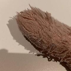 Knuffel, iLost를 사용하여 De Efteling에 보고됨