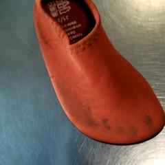 Shoe, as reported by Burgers' Zoo using iLost