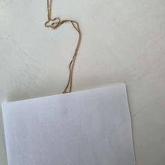 İLost kullanarak Haaglanden Medisch Centrum tarafından bildirildiği gibi Goudkleurige hanger  bedeltje